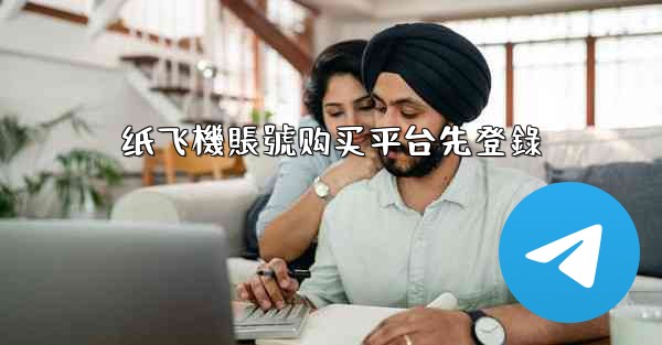 纸飞機賬號购买平台先登錄