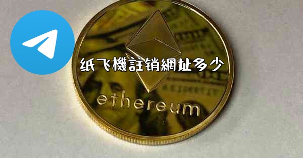 纸飞機註销網址多少