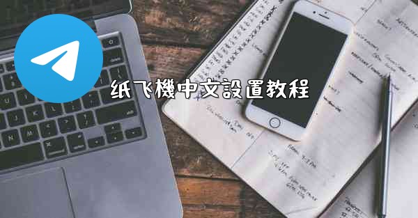 纸飞機中文設置教程