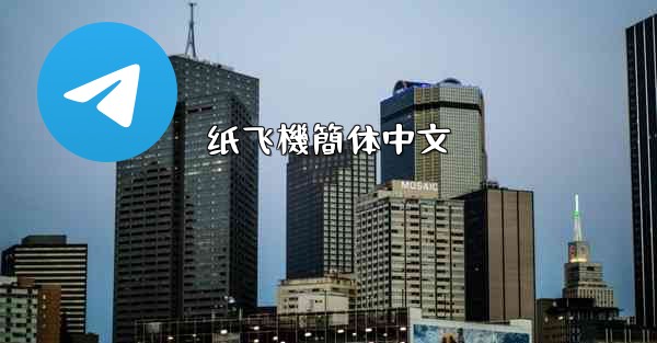 纸飞機簡体中文
