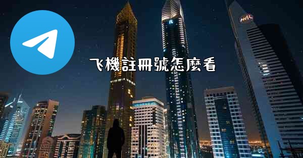 飞機註冊號怎麼看