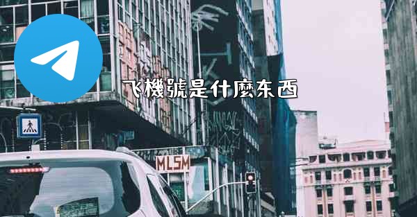 飞機號是什麼东西