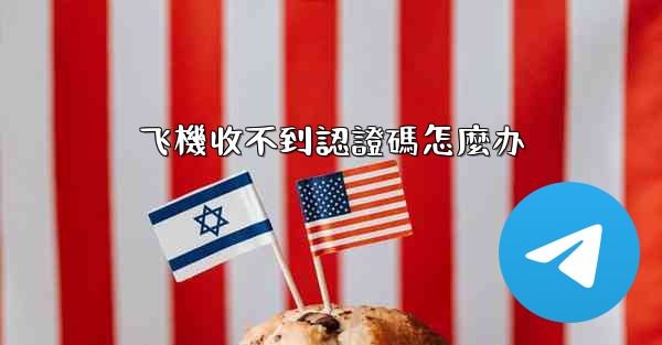 飞機收不到認證碼怎麼办