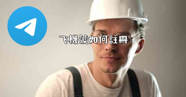 飞機號如何註冊