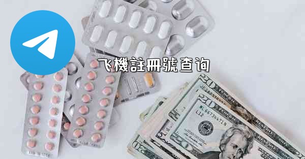 飞機註冊號查询