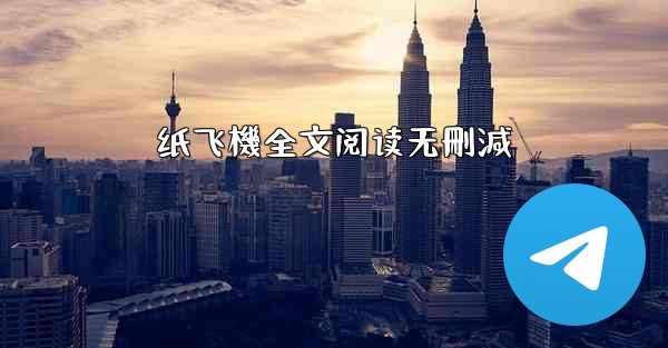 纸飞機全文阅读无刪減