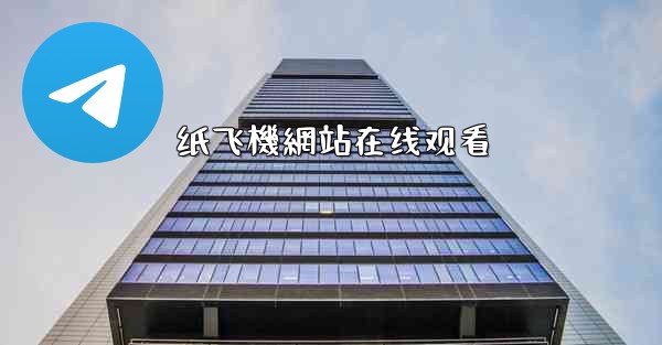 纸飞機網站在线观看