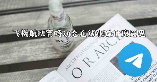 飞機航班實時动态在线跟踪什麼意思