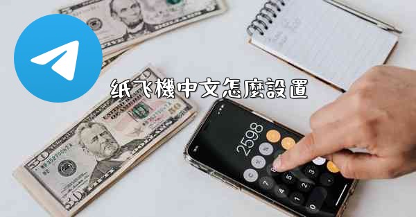 纸飞機中文怎麼設置