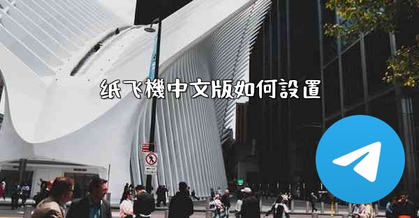 纸飞機中文版如何設置
