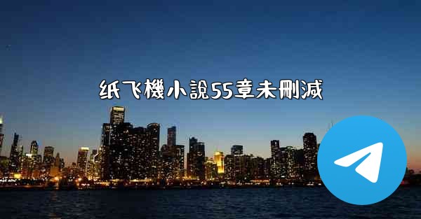 纸飞機小說55章未刪減