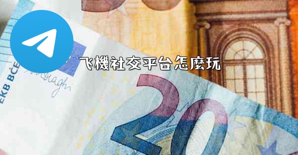 飞機社交平台怎麼玩