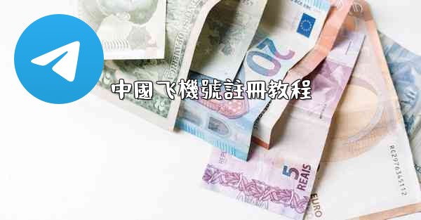 中國飞機號註冊教程