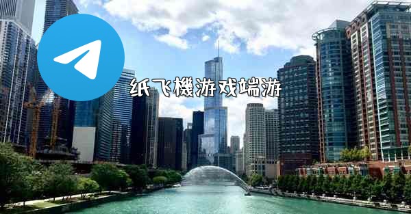 纸飞機游戏端游