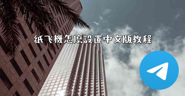 纸飞機怎麼設置中文版教程