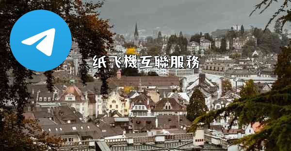 纸飞機互聯服務