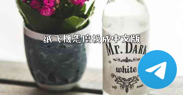纸飞機怎麼换成中文版