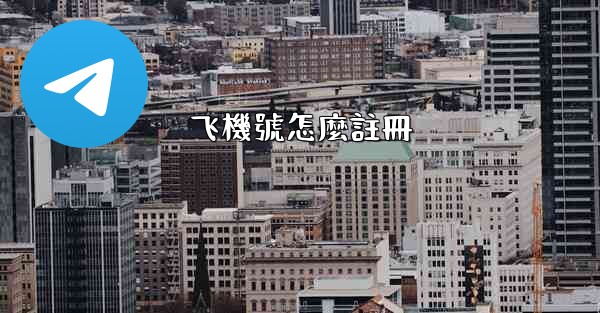 飞機號怎麼註冊