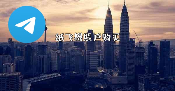 纸飞機賬戶购买