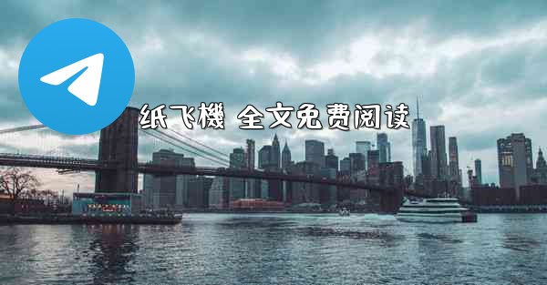 纸飞機 全文免费阅读