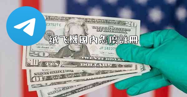 纸飞機國內怎麼註冊