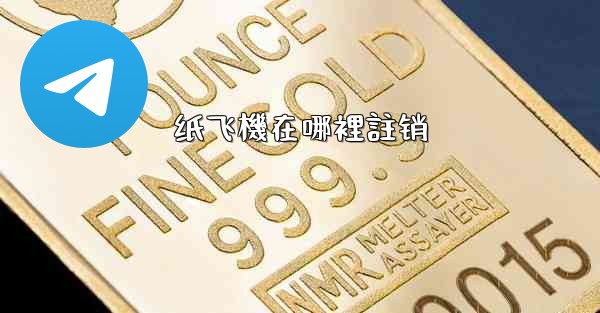 纸飞機在哪裡註销