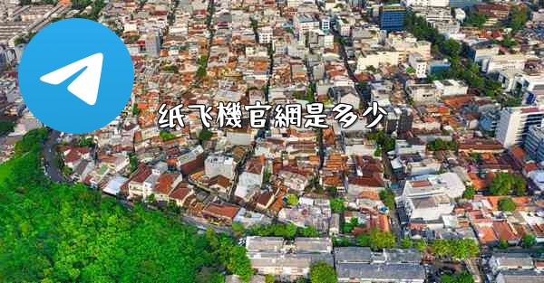 纸飞機官網是多少