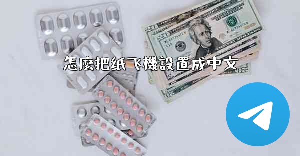 怎麼把纸飞機設置成中文