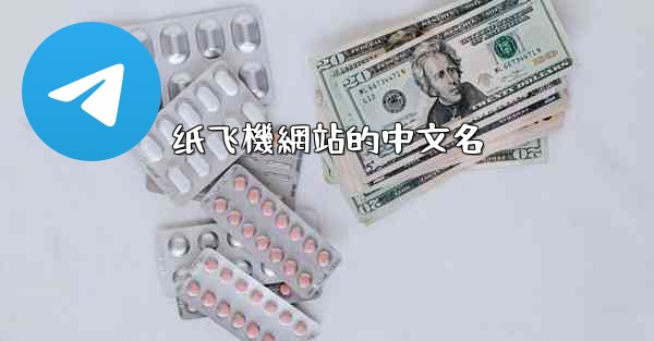 纸飞機網站的中文名