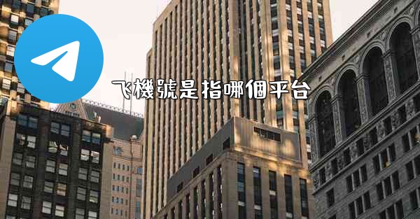 飞機號是指哪個平台