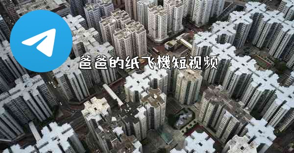 爸爸的纸飞機短视频