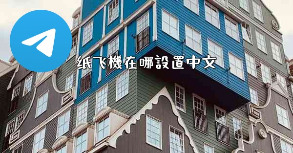 纸飞機在哪設置中文