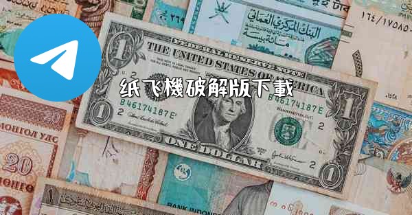 纸飞機破解版下載