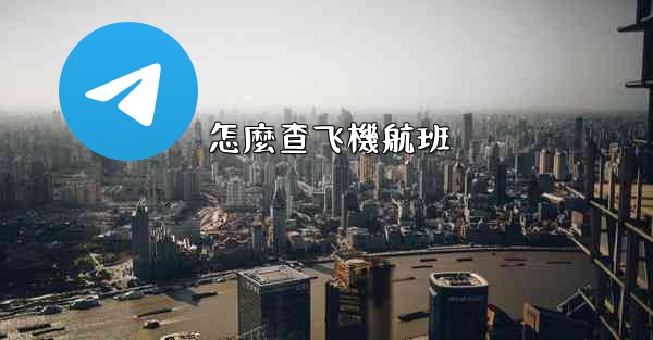 怎麼查飞機航班