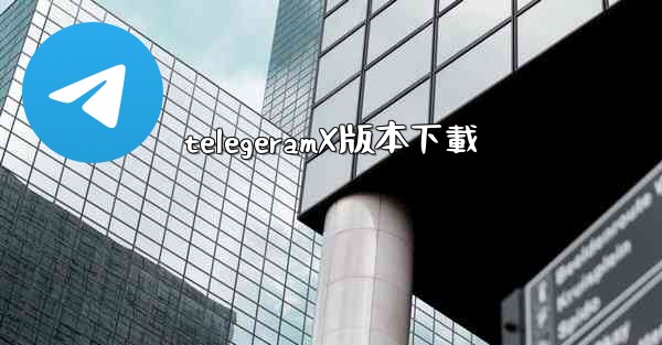 telegeramX版本下載