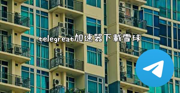 telegreat加速器下載雪球