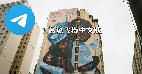 下載纸飞機中文版