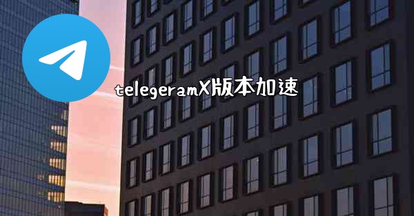 telegeramX版本加速